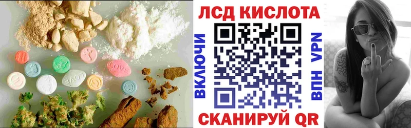 как найти закладки  Каргат  Лсд 25 экстази кислота 
