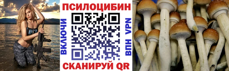 что такое   Каргат  Галлюциногенные грибы Magic Shrooms 